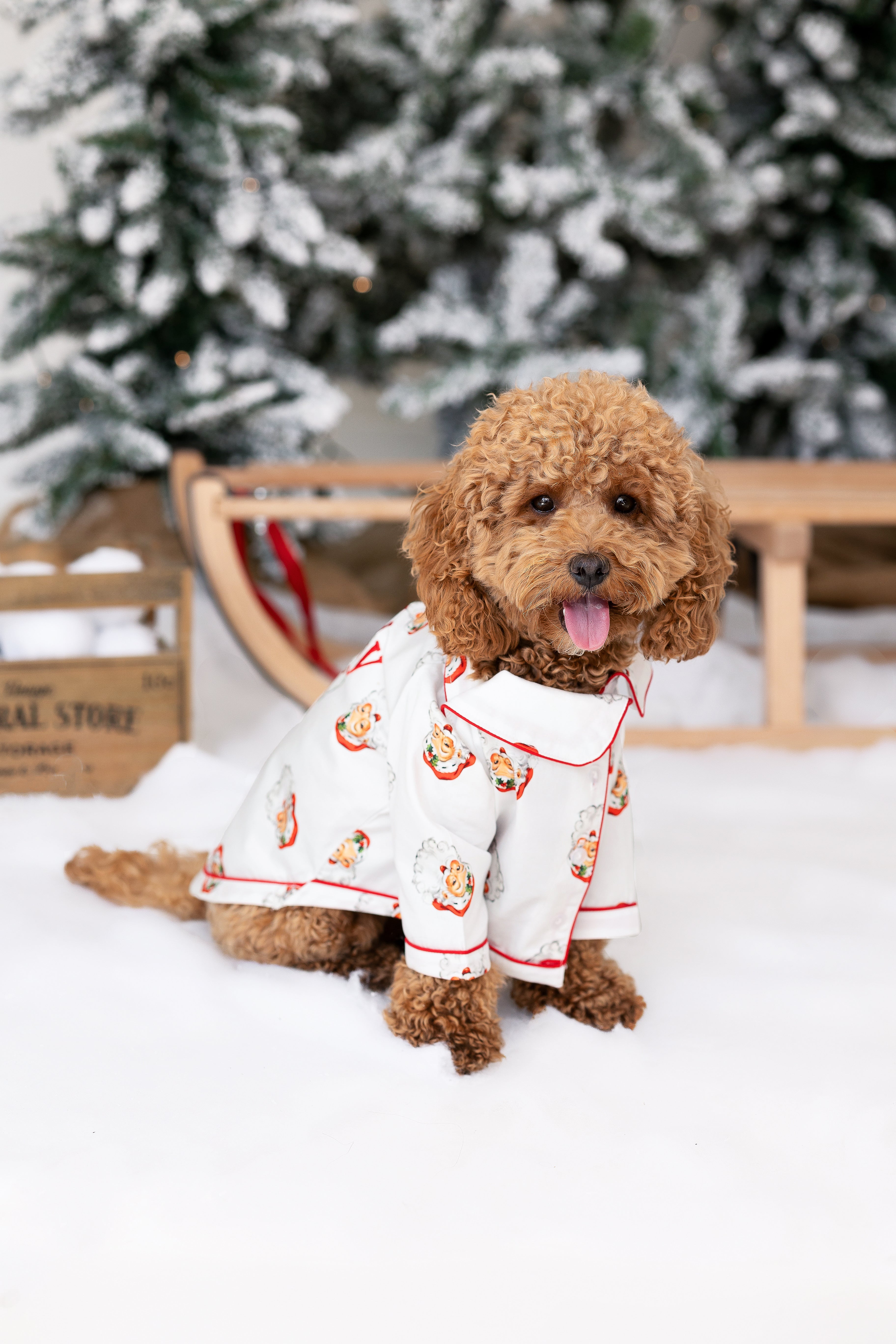 Santa Dog Pyjamas family matching personalised