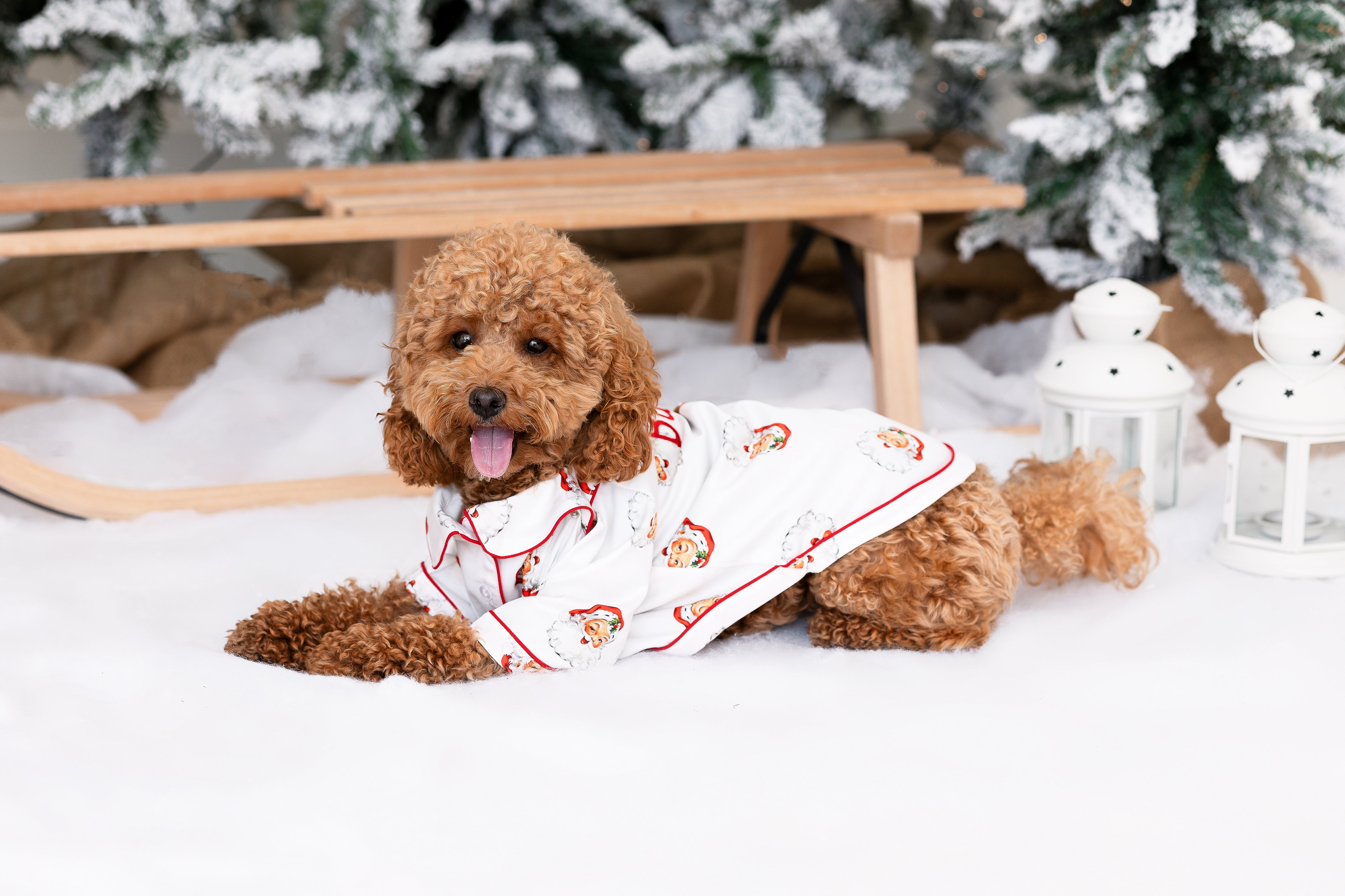 Santa Dog Pyjamas family matching personalised