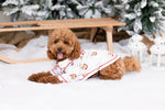 Load image into Gallery viewer, Santa Dog Pyjamas family matching personalised
