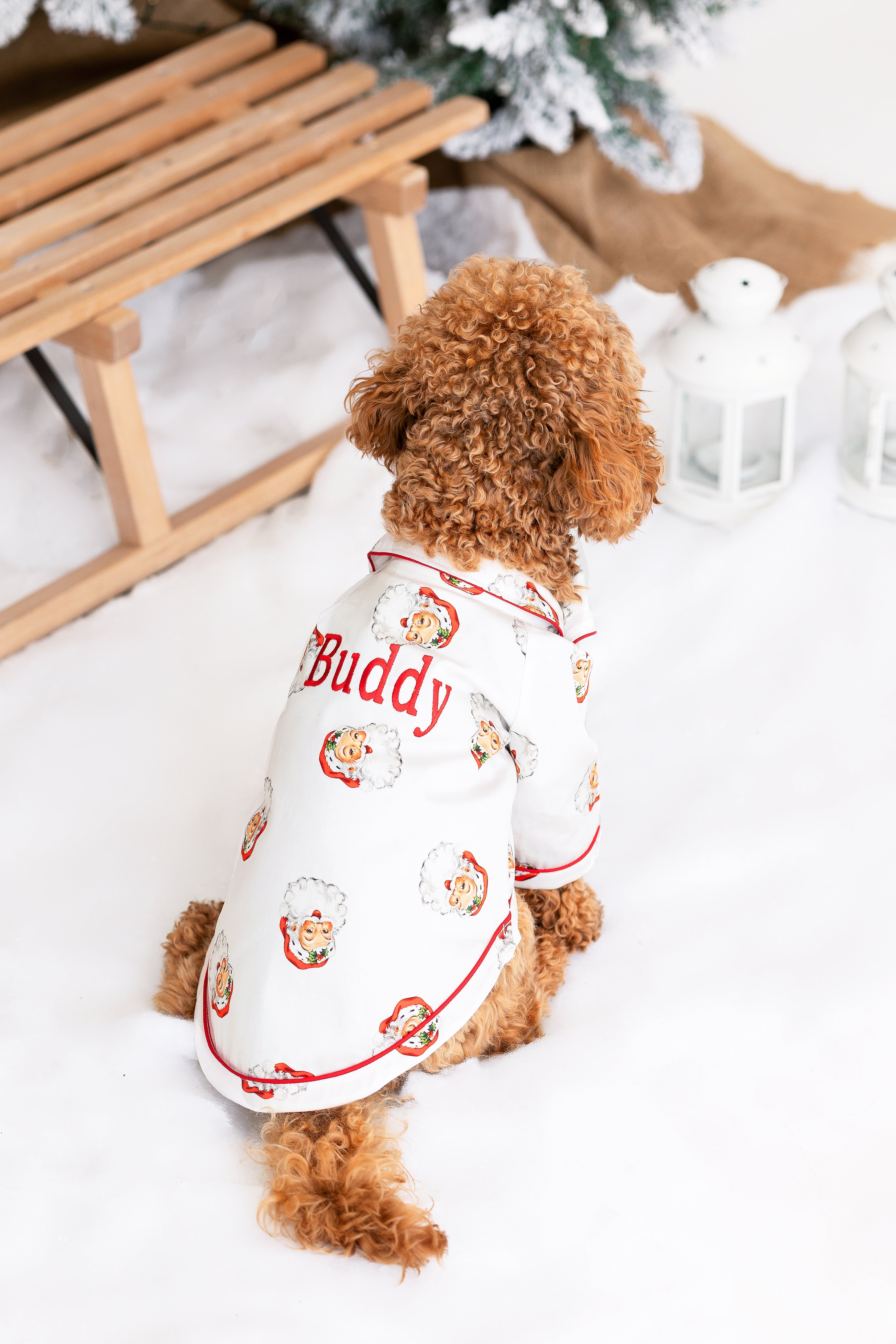 Santa Dog Pyjamas family matching personalised