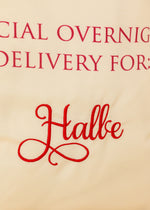 Load image into Gallery viewer, Reindeer Express Sacks Personalised
